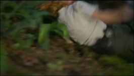 Blue Skies - Season 01 Episode 02